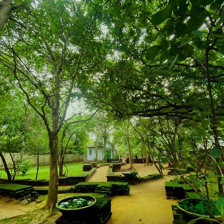 Twin Blocks Nature Resort Anuradhapura Exterior foto